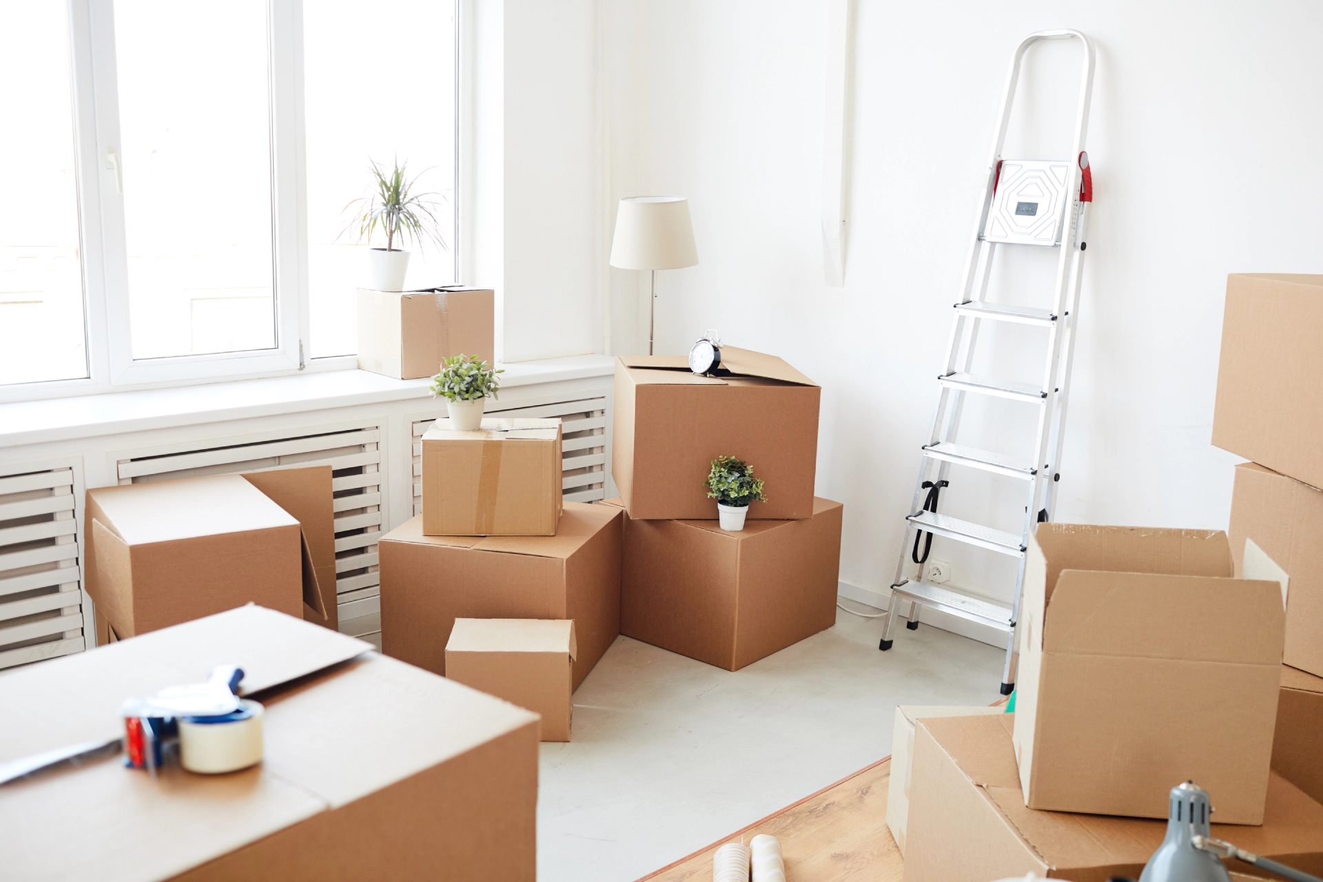 Professional Move-Out Clean 1